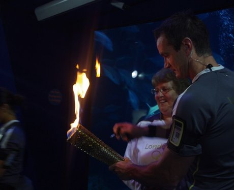 Olympic Torch Relay