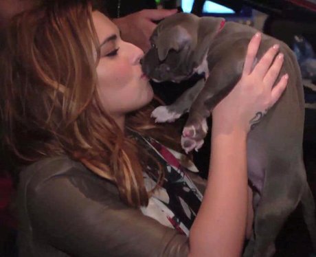 Cheryl Cole with a puppy dog