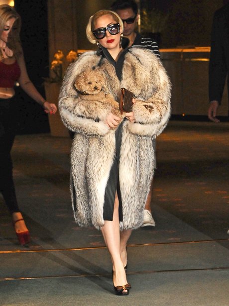 Lady Gaga wears a fur coat while carrying her dog