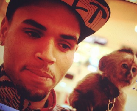 Chris Brown with a monkey