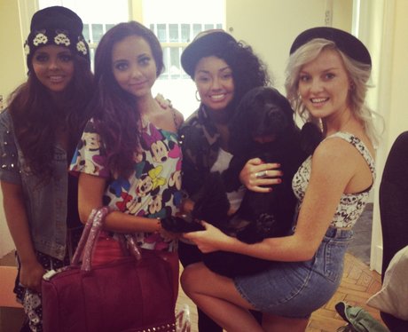 Little Mix with a dog