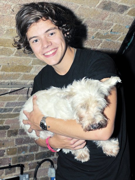 Harry Styles backstage at G.A.Y in London.