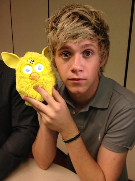 Niall Horan with a Furby Toy.