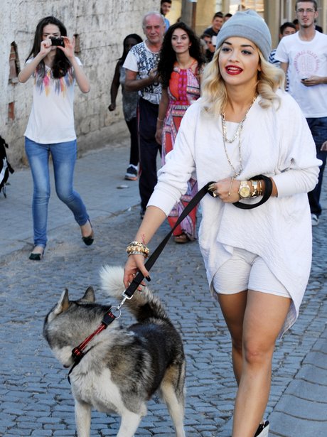Rita Ora walking a dog on video set.