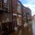 Image 8: York foods