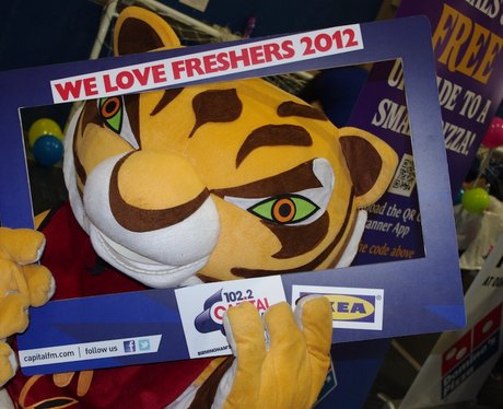Ikea Capital Freshers Fayre