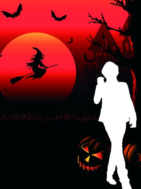 Harry Styles Silhouette