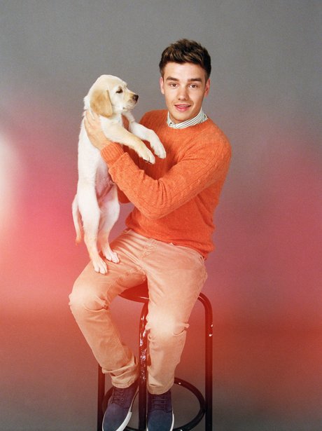 One Direction in Wonderland Magazine