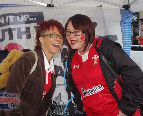 Wales v Argentina