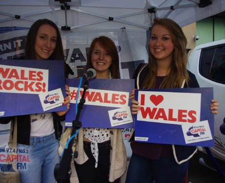 Wales v Argentina