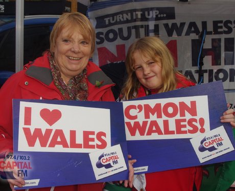 Wales v Argentina