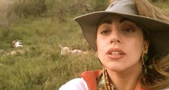 Lady Gaga on safari from Twitter