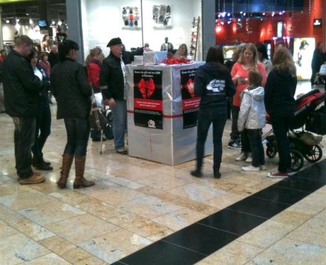 Pap'd by the Street Stars?