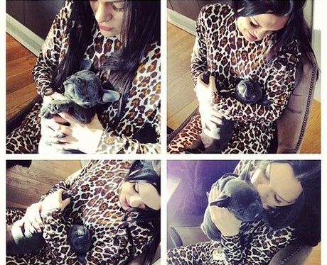 Jessie J With Her Puppy From Twitter