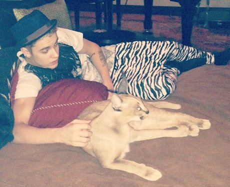 Justin Bieber and a baby lion hugging
