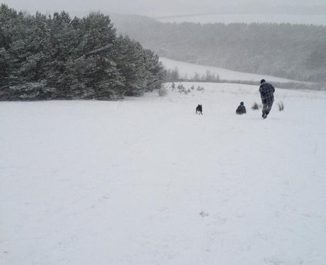 North East Snowed Under