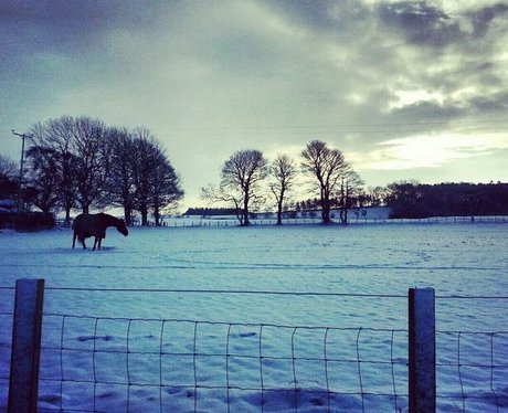 North East Snowed Under