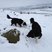 Image 10: Yorkshire snow pictures