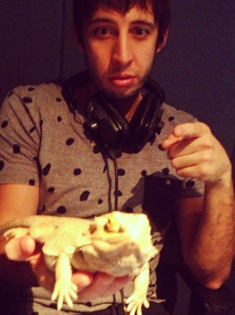 Example With A Lizard on Instagram