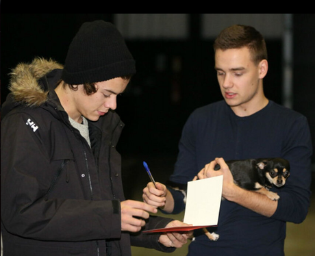 Liam Payne holding a puppy in tour rehearsasls