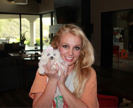 Britney Spears with her pet puppy