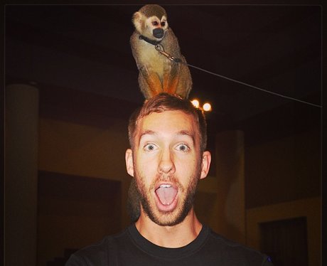 Calvin Harris with a monkey on his head