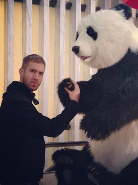 Calvin Harris with a panda