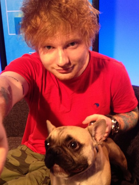 Ed Sheeran with a dog while out touring
