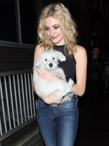 Pixie Lott with a dog in London