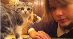 Taylor Swift with her cat
