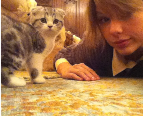 Photos from Taylor Swift's Cutest Cat Photos