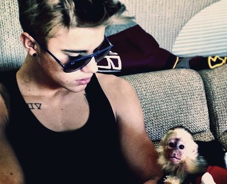Justin Bieber with a monkey on Instagram