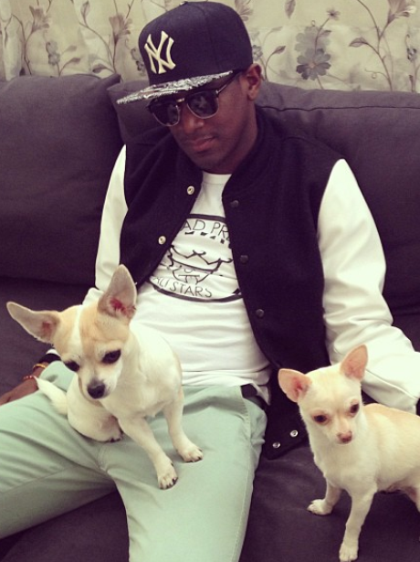 Labrinth hands out with two little dogs