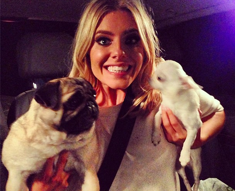 Mollie King and her dogs