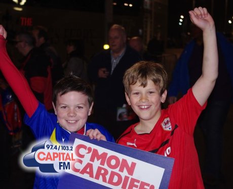 Cardiff City's Promotion