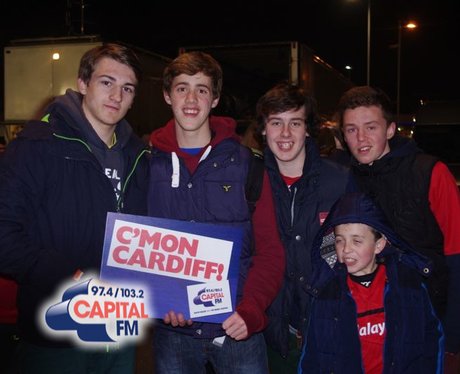 Cardiff City's Promotion
