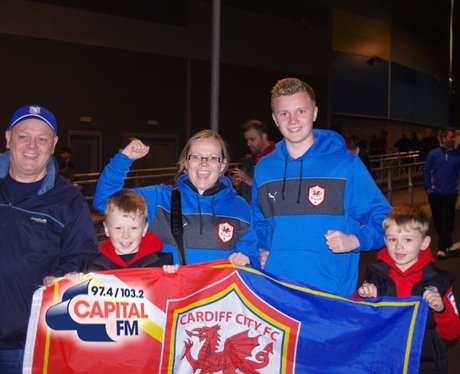 Cardiff City's Promotion