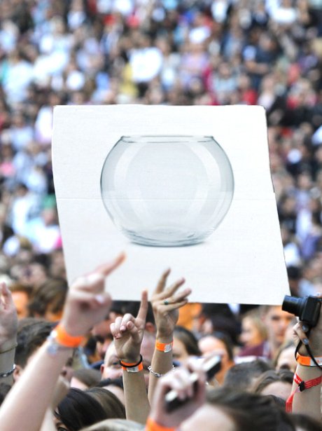 glass bowl