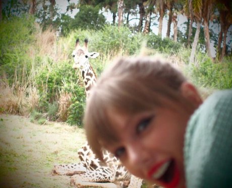 Taylor Swift visits a wildlife park