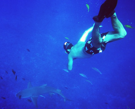 Example diving
