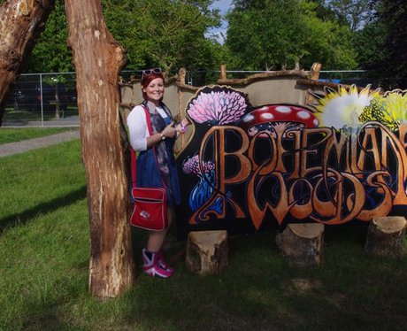 What can you get up to at the Festival?