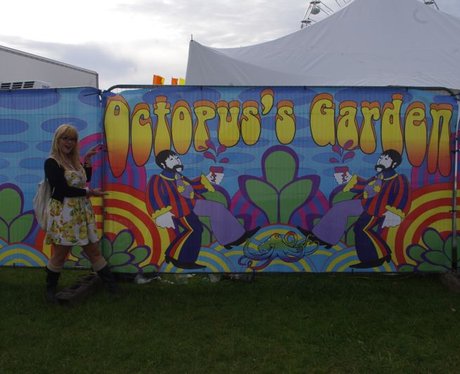 What can you get up to at the Festival?