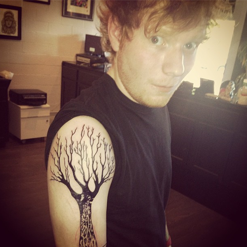 Ed Sheeran Shows Off New Family Tree Arm Tattoo Capital