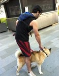 Akita-type-breed dog and owner