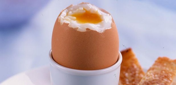 egg