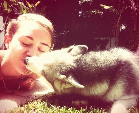 Miley Cyrus kissing her dog