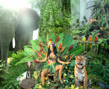 Katy Perry 'Roar'
