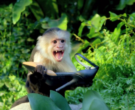 Katy Perry 'Roar'
