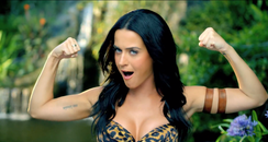 Katy Perry 'Roar'