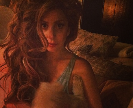 Lady Gaga and her pet dog watching a film